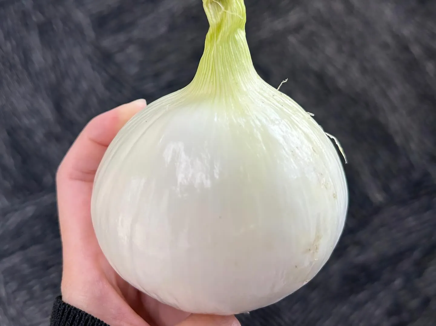 〜すぐに使える綺麗な玉ねぎ販売中🧅〜
