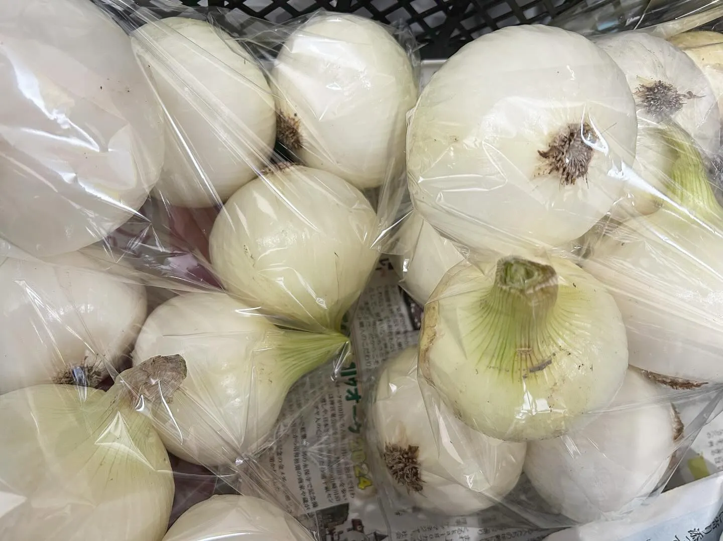 〜すぐに使える綺麗な玉ねぎ販売中🧅〜