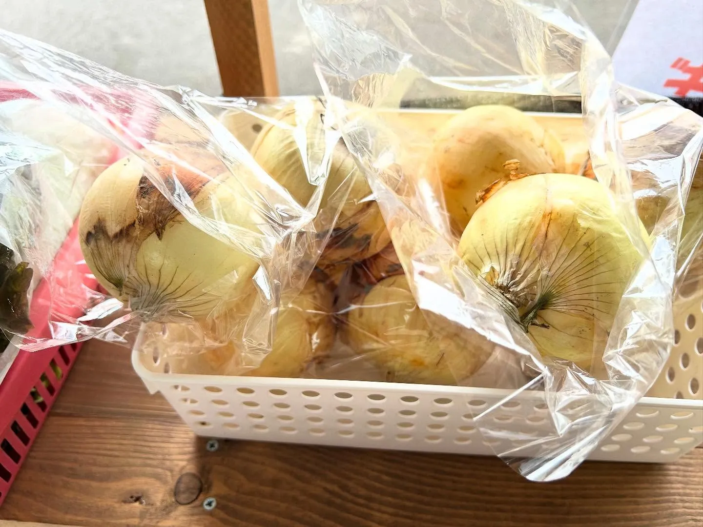 〜『 レタス🥬』『 玉ねぎ🧅』販売中〜