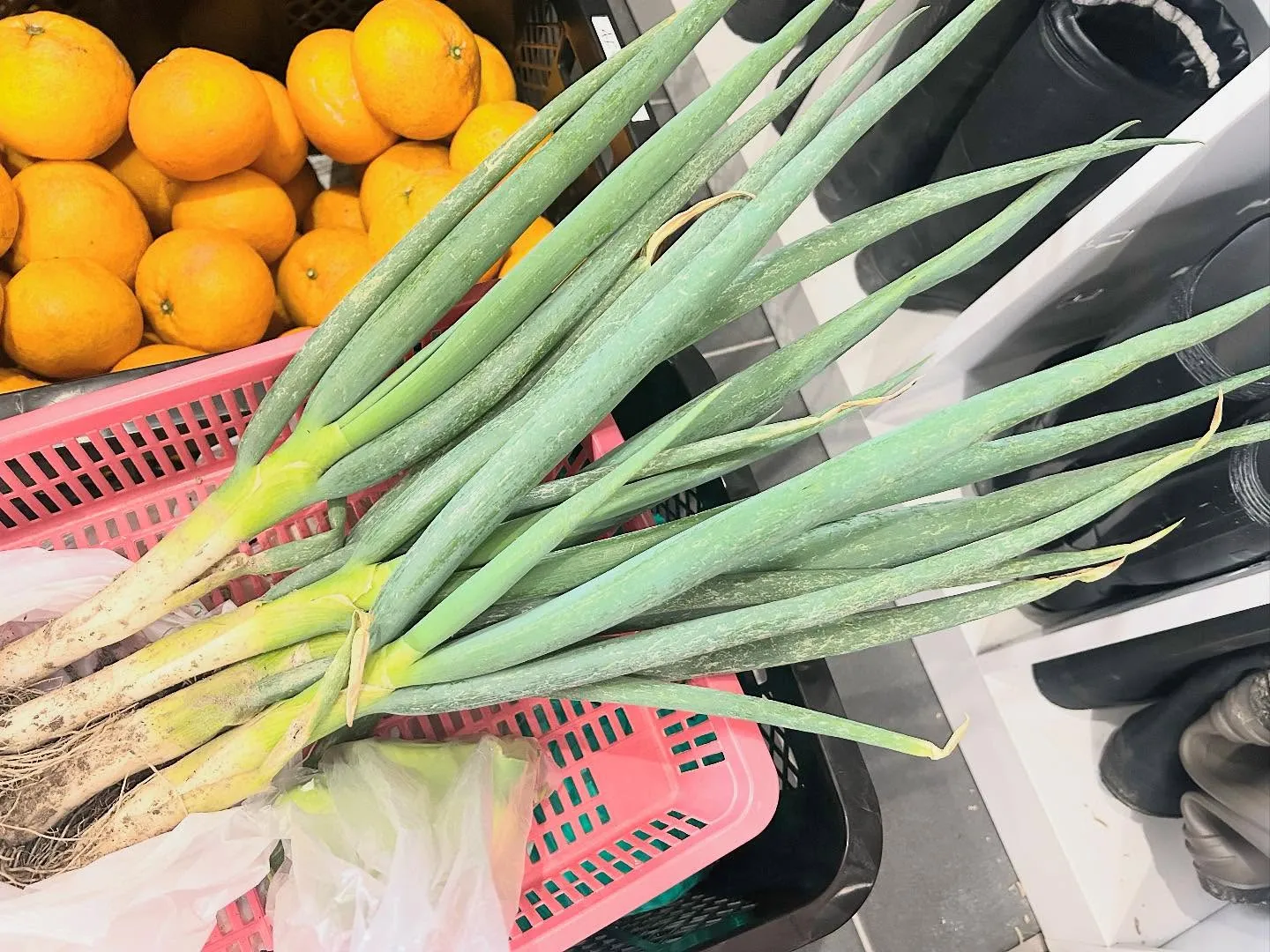 〜アンセム本日の入荷商品🌟〜