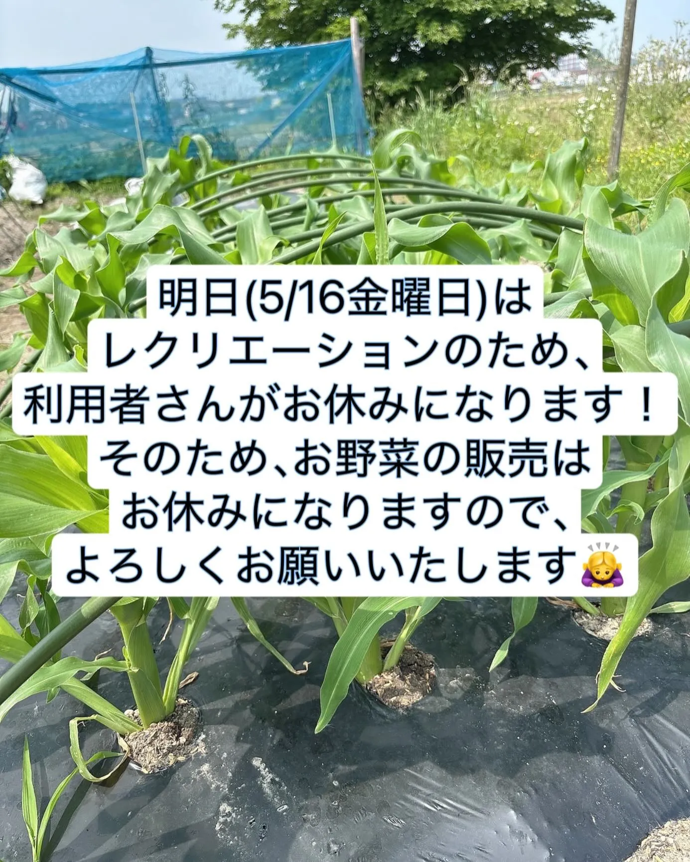 こんにちは☀️アンセムナゴヤです！