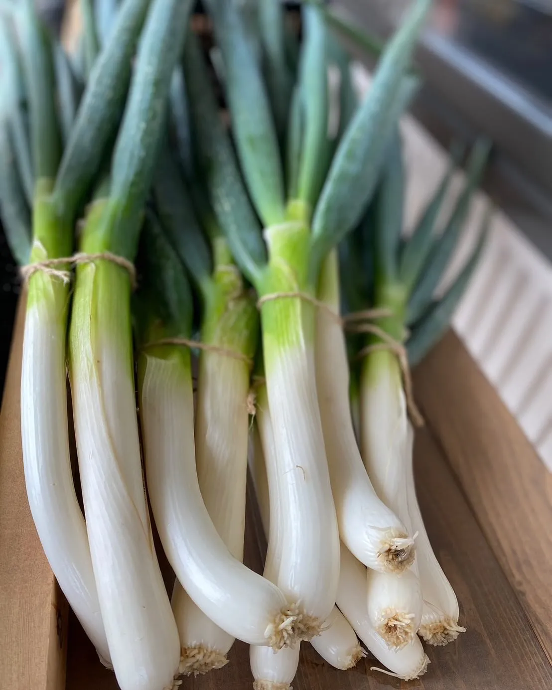 アンセムナゴヤ