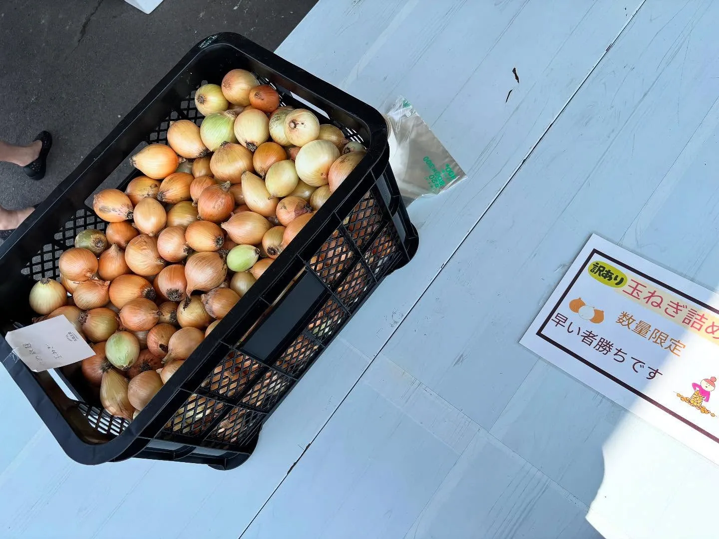 【出店の紹介】野菜販売
