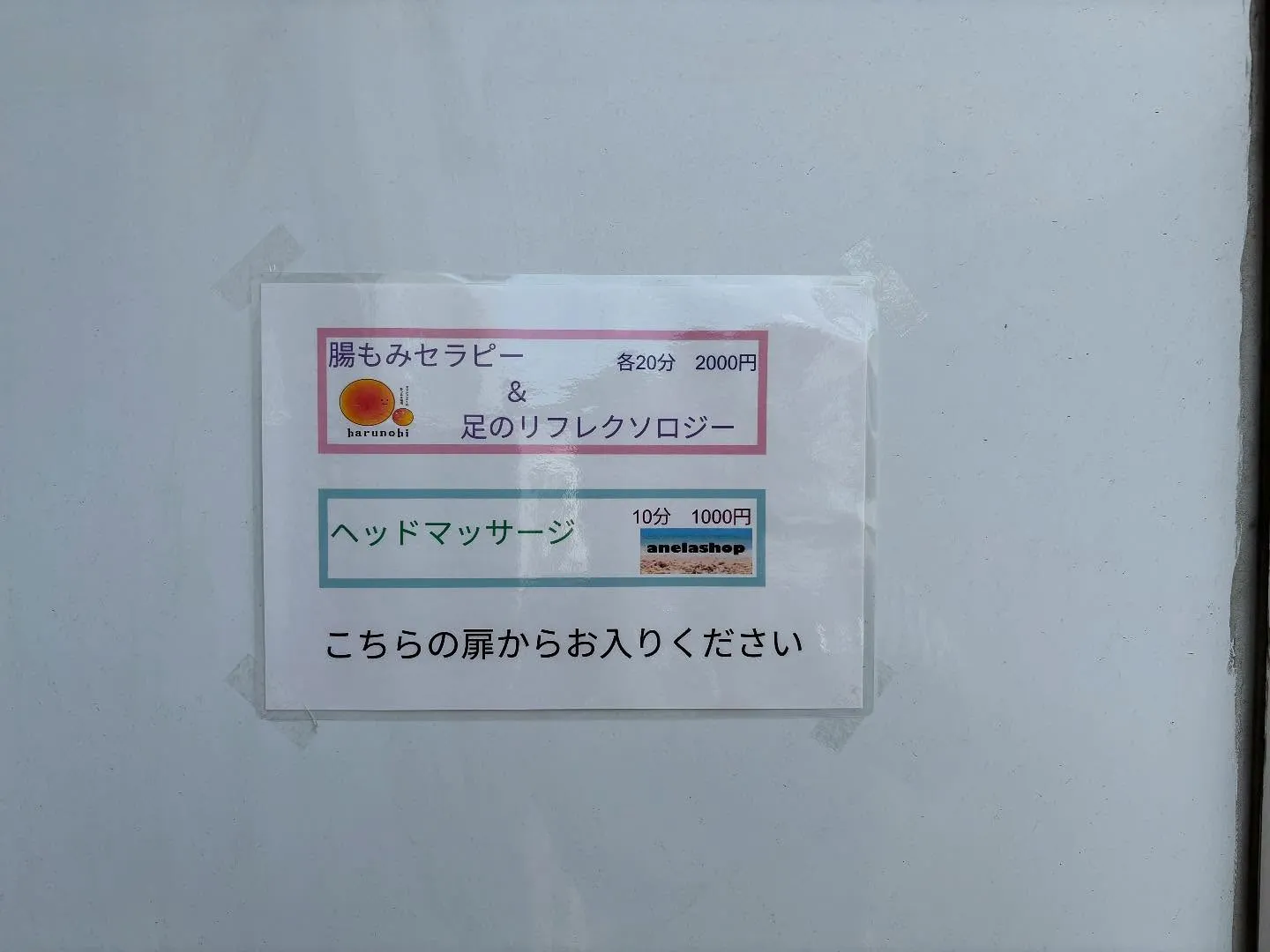 【出店の紹介】