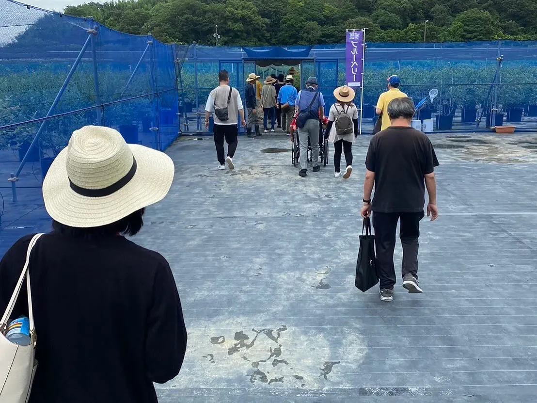 アンセムナゴヤのみんなで美浜にあるブルーベリー狩りに行ってき...