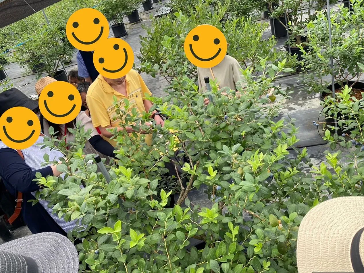 アンセムナゴヤのみんなで美浜にあるブルーベリー狩りに行ってき...