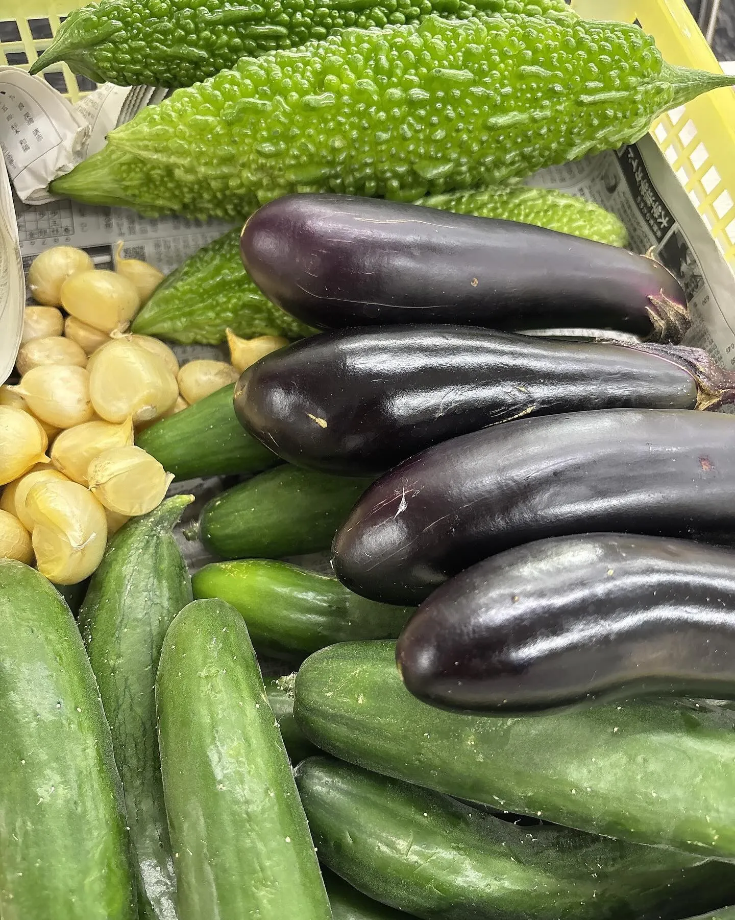 〜アンセム本日の入荷商品🌟〜