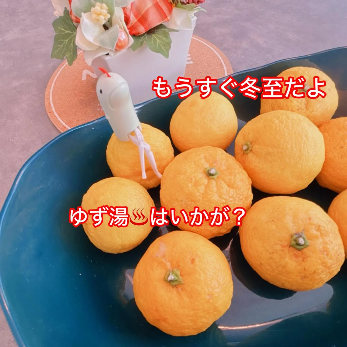 〜アンセム本日の入荷商品🌟〜