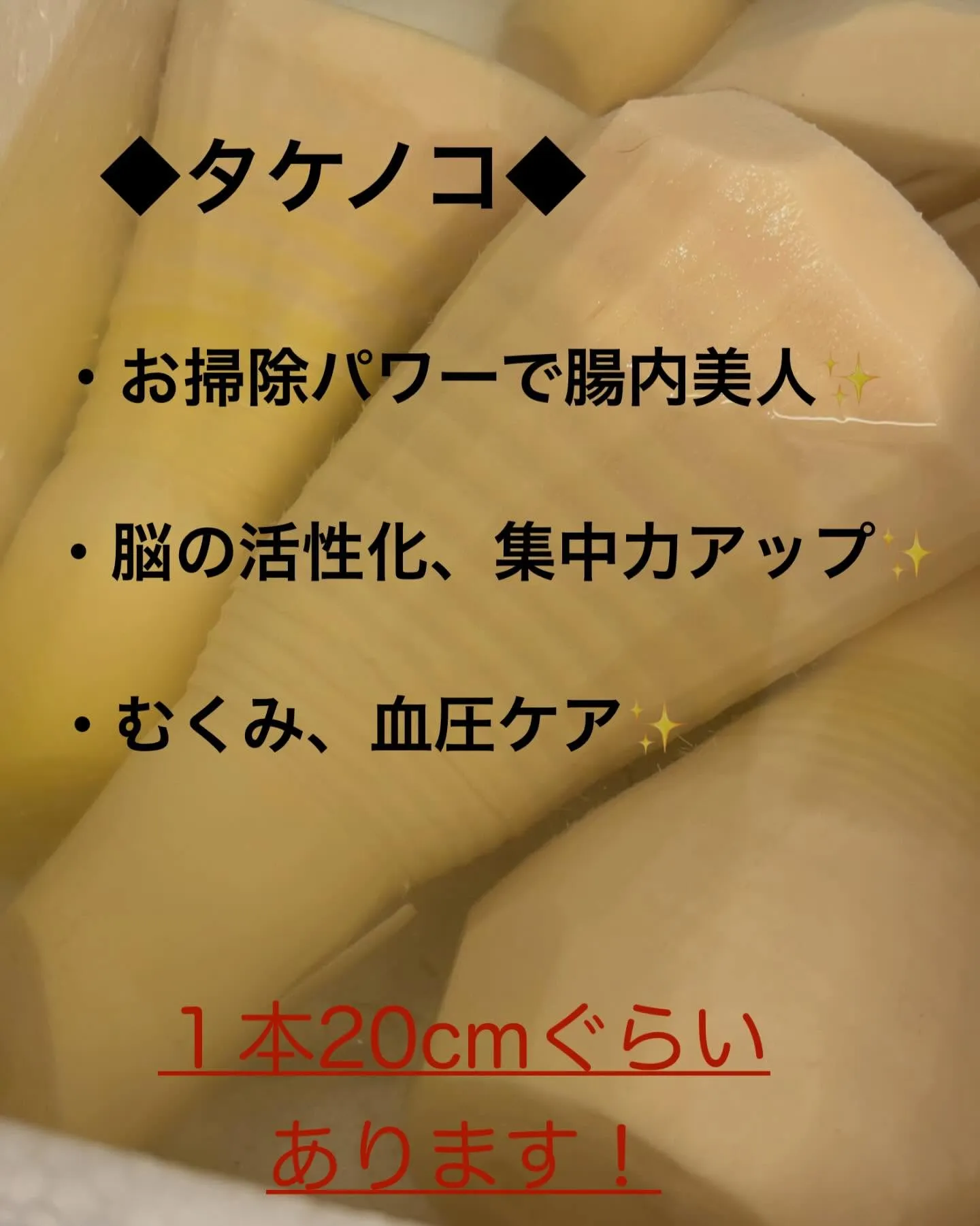 〜アンセム本日の入荷商品🌟〜