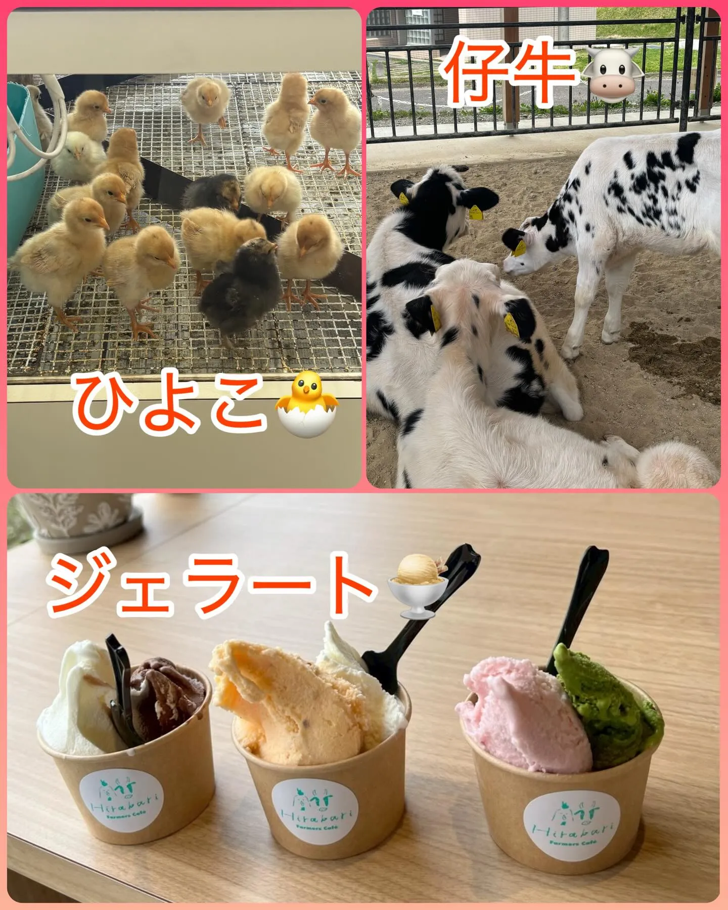 4月のレクレーションは天白区にある農業センターへ行ってきまし...